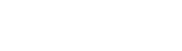 Bonnaroo